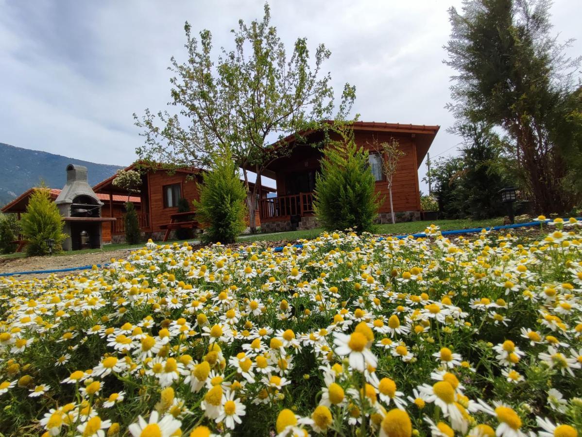 Hurmalik Apart Evleri-Very Close To The Sea Large Garden Bungalow With Barbecue And Swing Караоз Экстерьер фото